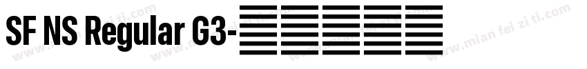 SF NS Regular G3字体转换